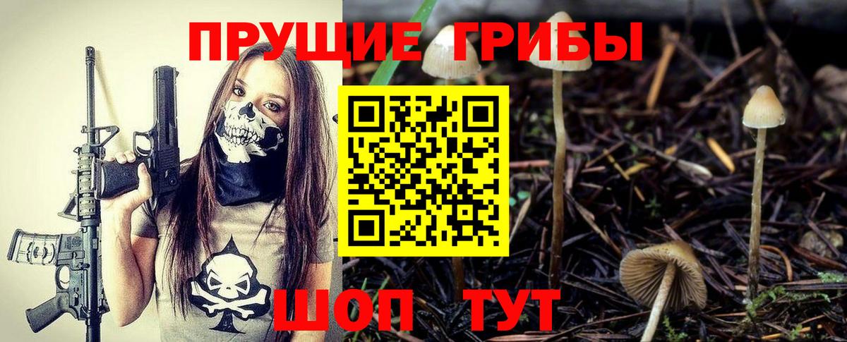 Псилоцибиновые грибы мицелий  Вход с VPN  Дзержинский 